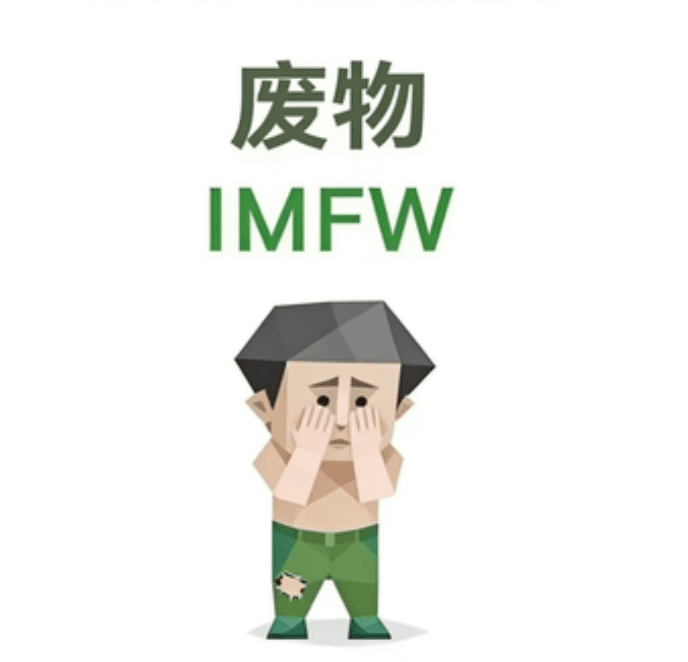 废物（IMFW）